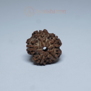 Five Mukhi पाँच मुखी