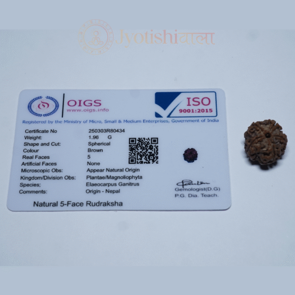 Five Mukhi पाँच मुखी