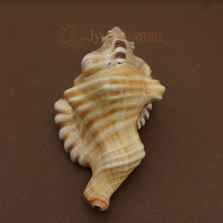 Ganesh Shank