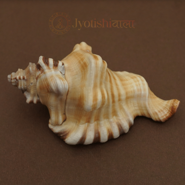 Ganesh Shank