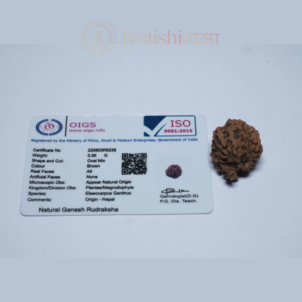 Ganesh Rudraksha