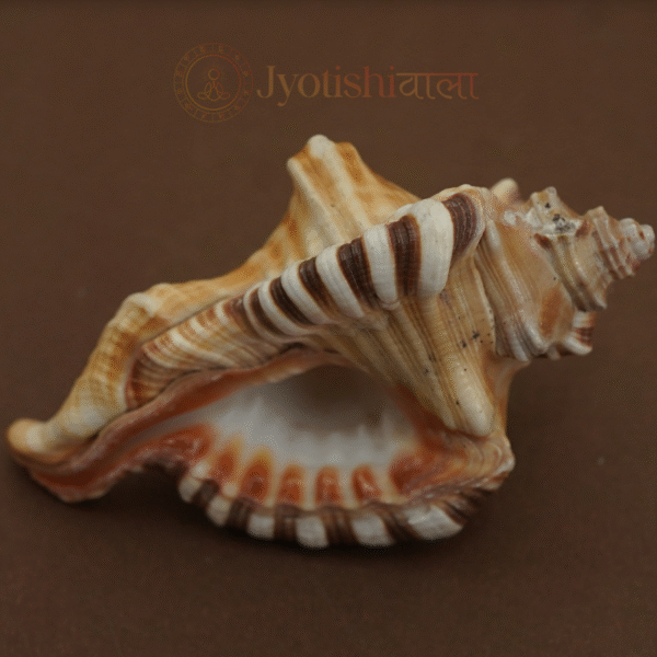 Ganesh Shank - Image 5