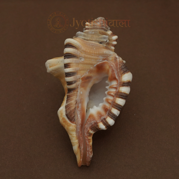 Ganesh Shank